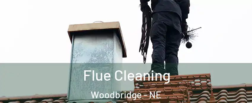 Flue Cleaning Woodbridge - NE