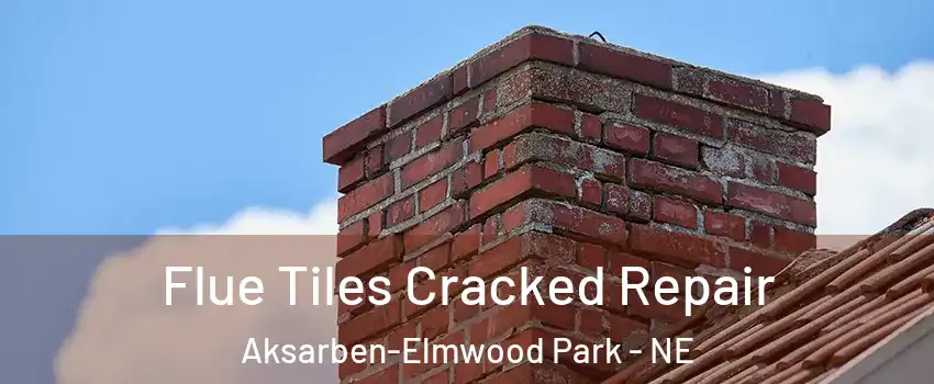 Flue Tiles Cracked Repair Aksarben-Elmwood Park - NE