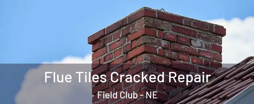 Flue Tiles Cracked Repair Field Club - NE