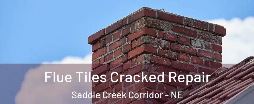 Flue Tiles Cracked Repair Saddle Creek Corridor - NE