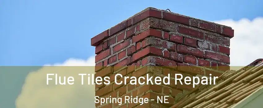 Flue Tiles Cracked Repair Spring Ridge - NE