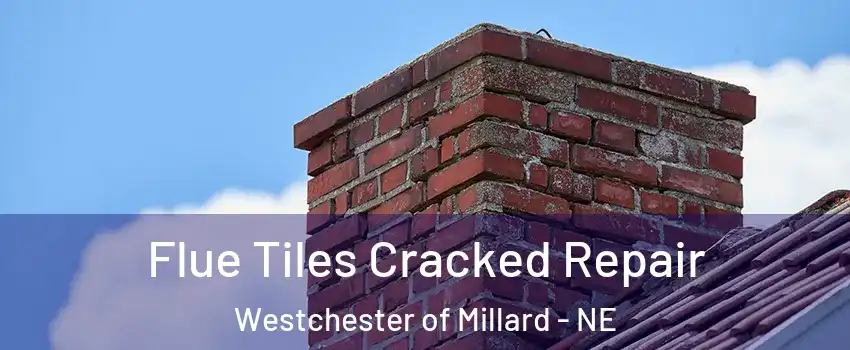 Flue Tiles Cracked Repair Westchester of Millard - NE