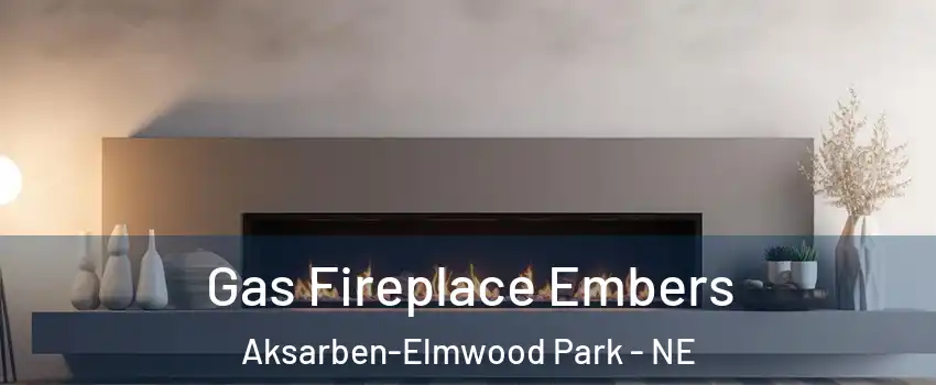 Gas Fireplace Embers Aksarben-Elmwood Park - NE