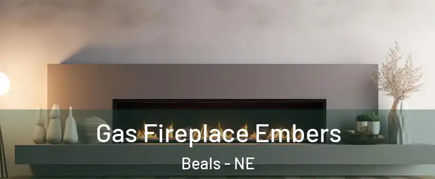 Gas Fireplace Embers Beals - NE