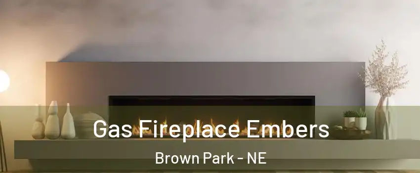 Gas Fireplace Embers Brown Park - NE