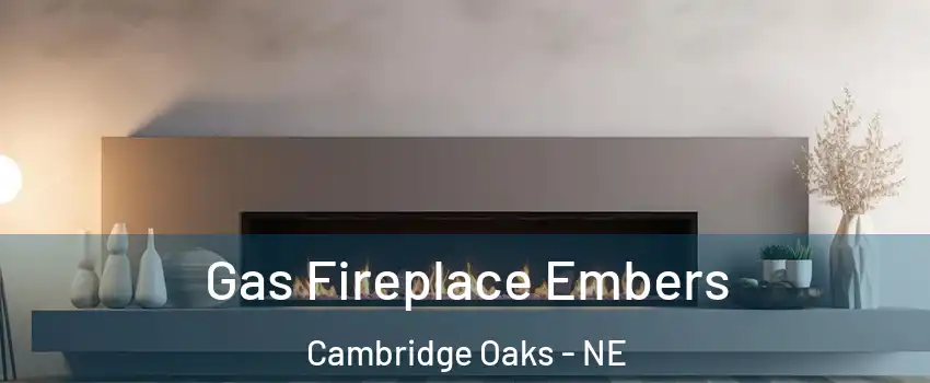 Gas Fireplace Embers Cambridge Oaks - NE