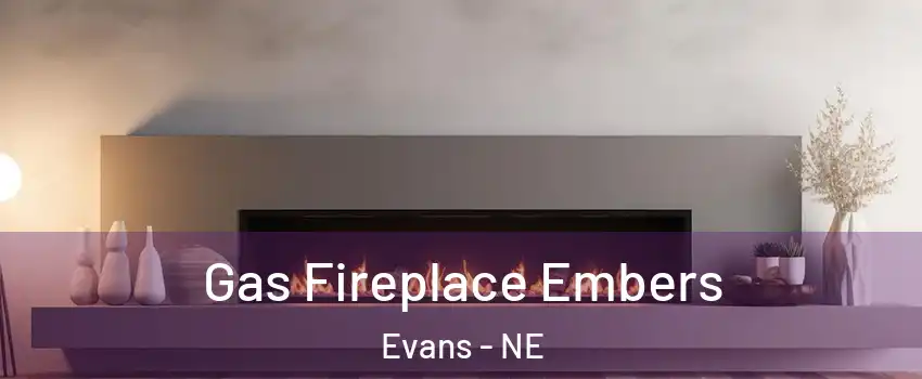 Gas Fireplace Embers Evans - NE