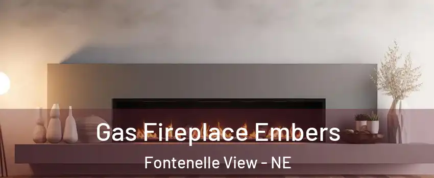 Gas Fireplace Embers Fontenelle View - NE