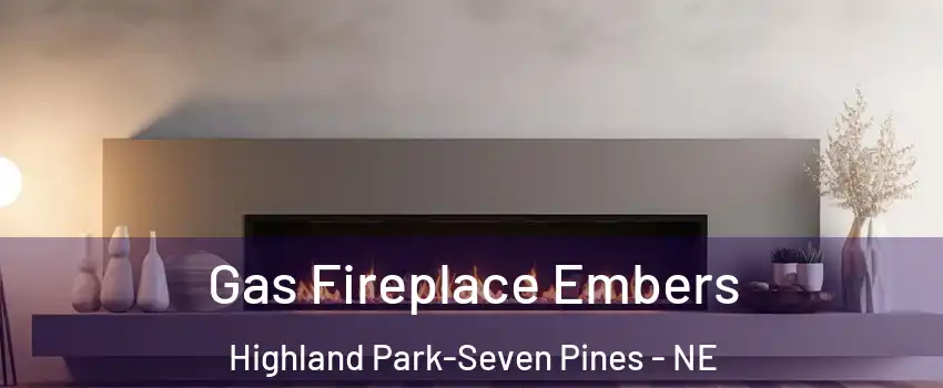 Gas Fireplace Embers Highland Park-Seven Pines - NE