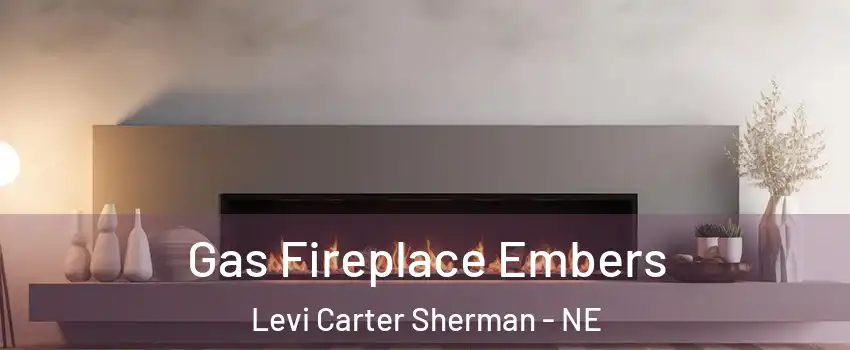 Gas Fireplace Embers Levi Carter Sherman - NE