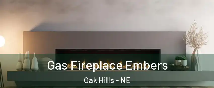 Gas Fireplace Embers Oak Hills - NE
