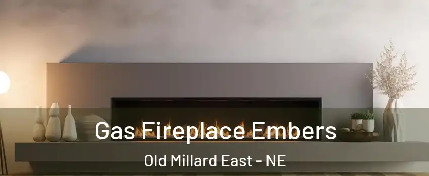 Gas Fireplace Embers Old Millard East - NE