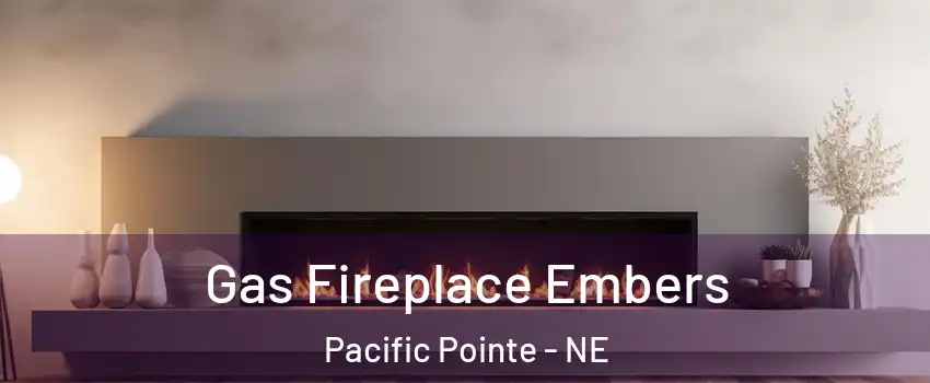 Gas Fireplace Embers Pacific Pointe - NE