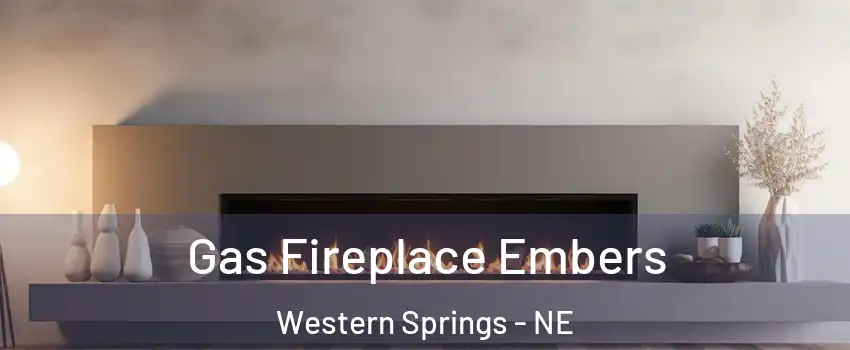 Gas Fireplace Embers Western Springs - NE