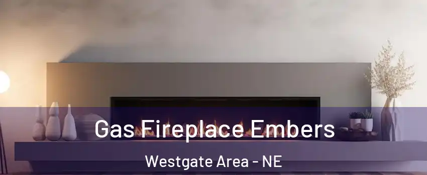 Gas Fireplace Embers Westgate Area - NE