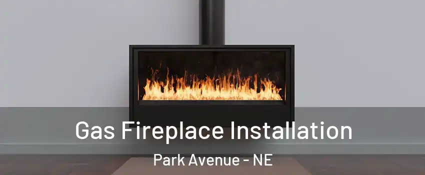 Gas Fireplace Installation Park Avenue - NE