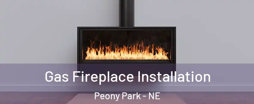 Gas Fireplace Installation Peony Park - NE