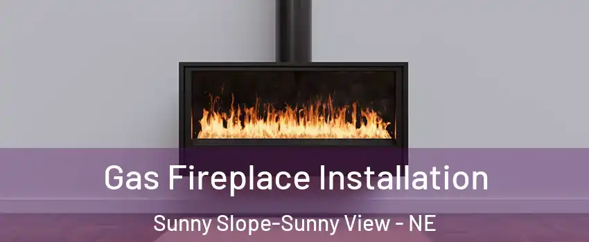 Gas Fireplace Installation Sunny Slope-Sunny View - NE