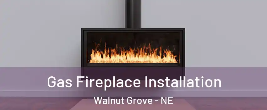 Gas Fireplace Installation Walnut Grove - NE