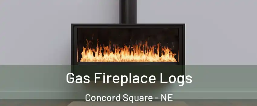Gas Fireplace Logs Concord Square - NE