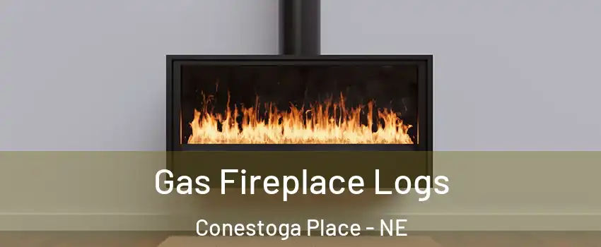 Gas Fireplace Logs Conestoga Place - NE