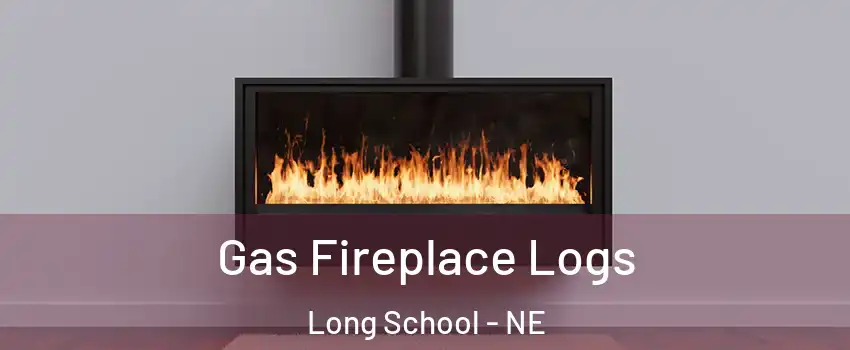 Gas Fireplace Logs Long School - NE