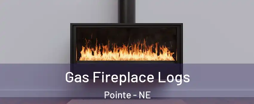 Gas Fireplace Logs Pointe - NE