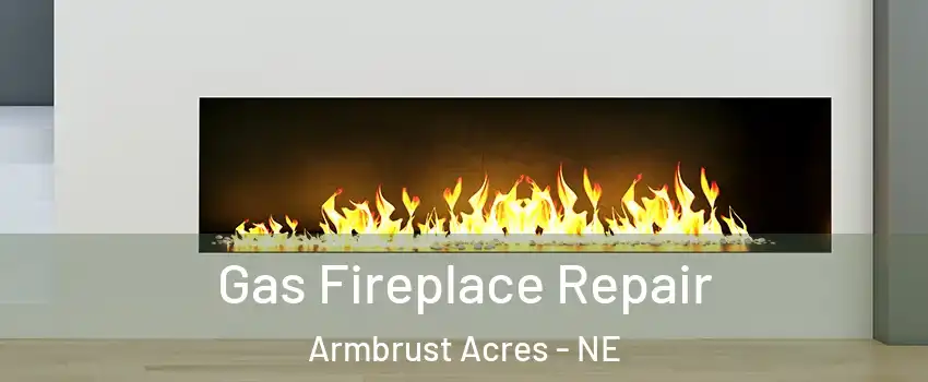 Gas Fireplace Repair Armbrust Acres - NE