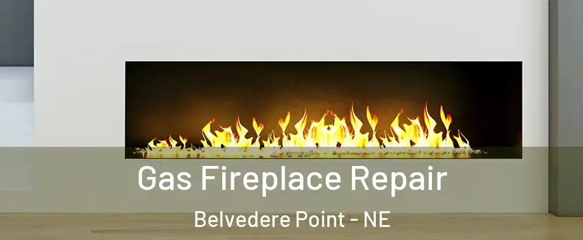 Gas Fireplace Repair Belvedere Point - NE