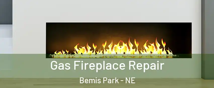 Gas Fireplace Repair Bemis Park - NE