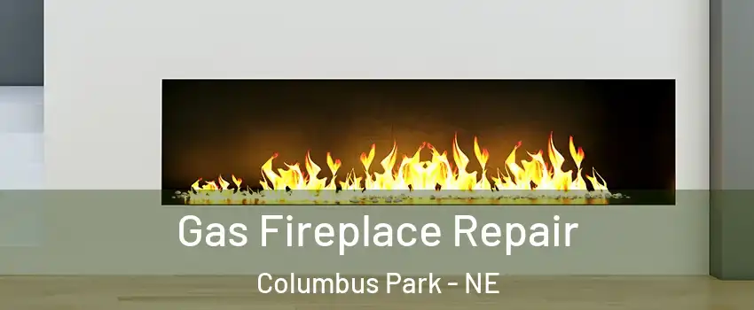 Gas Fireplace Repair Columbus Park - NE