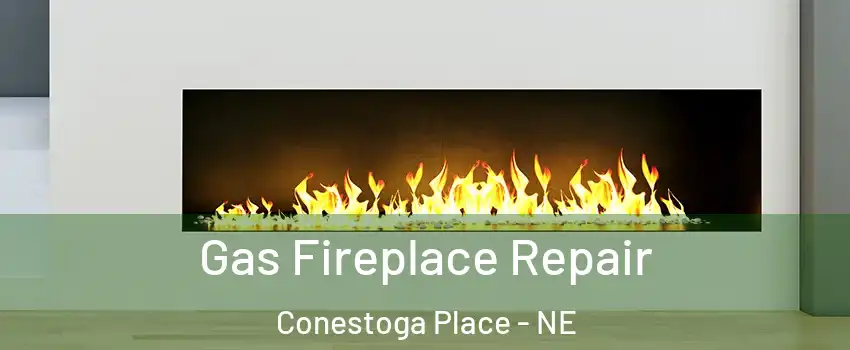 Gas Fireplace Repair Conestoga Place - NE