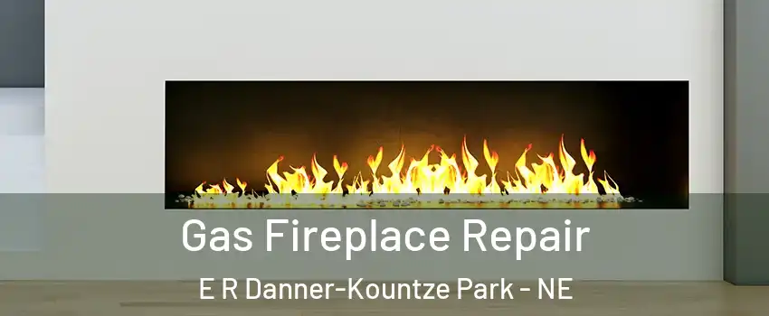 Gas Fireplace Repair E R Danner-Kountze Park - NE