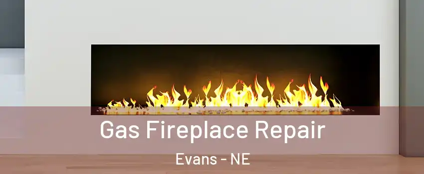 Gas Fireplace Repair Evans - NE
