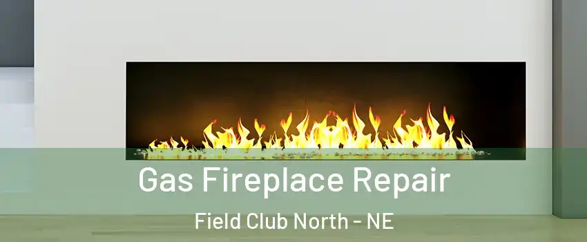 Gas Fireplace Repair Field Club North - NE