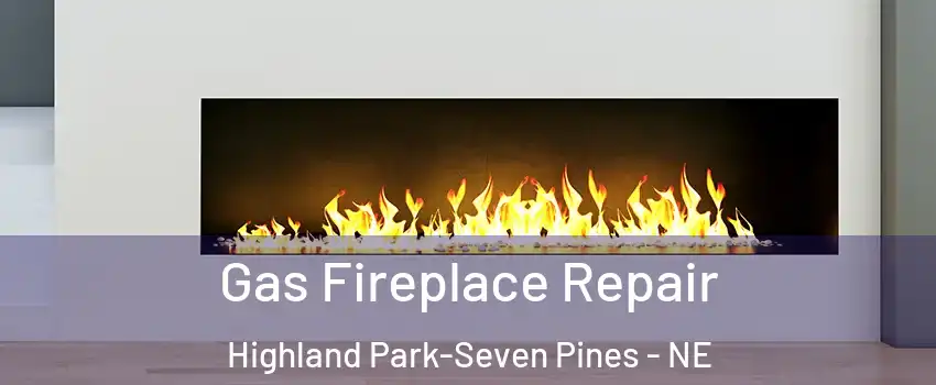 Gas Fireplace Repair Highland Park-Seven Pines - NE