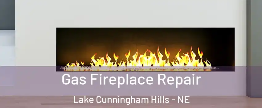 Gas Fireplace Repair Lake Cunningham Hills - NE