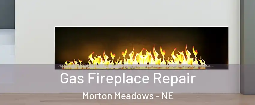 Gas Fireplace Repair Morton Meadows - NE