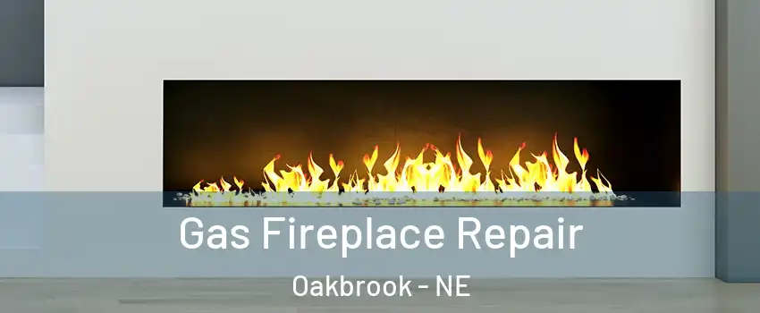 Gas Fireplace Repair Oakbrook - NE