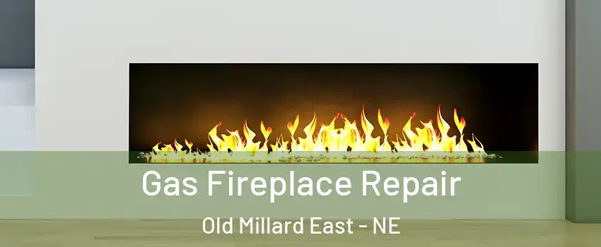 Gas Fireplace Repair Old Millard East - NE