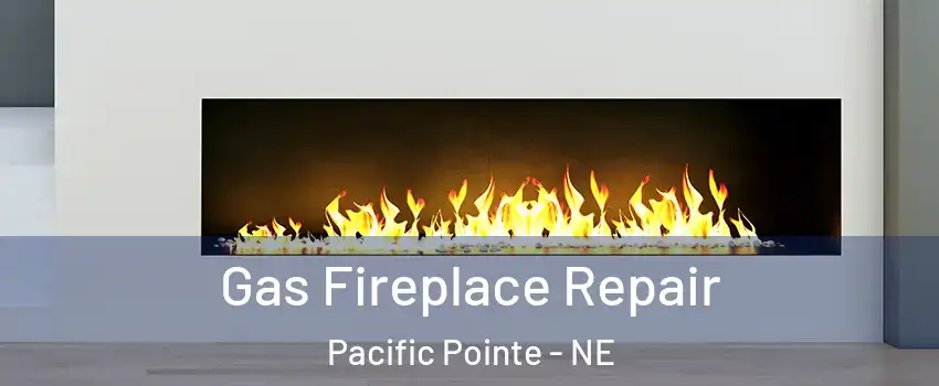 Gas Fireplace Repair Pacific Pointe - NE