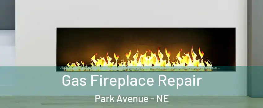 Gas Fireplace Repair Park Avenue - NE