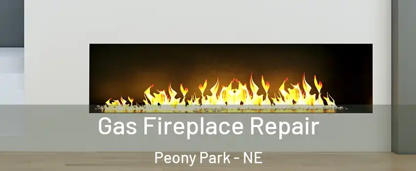 Gas Fireplace Repair Peony Park - NE