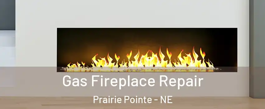 Gas Fireplace Repair Prairie Pointe - NE