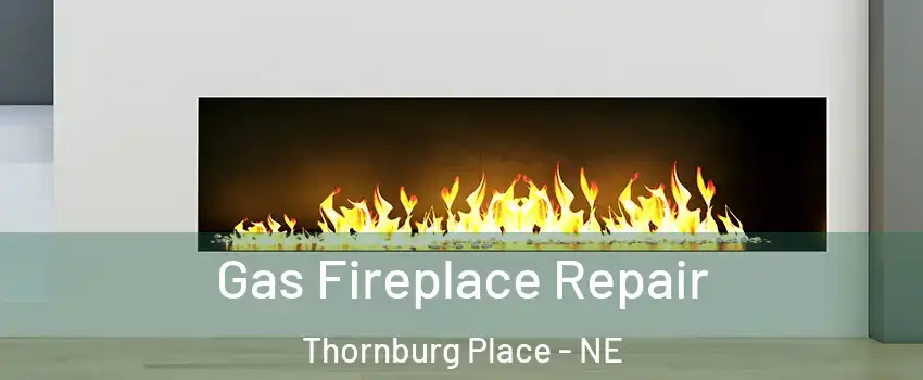 Gas Fireplace Repair Thornburg Place - NE