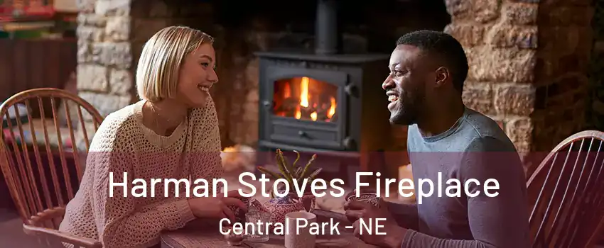 Harman Stoves Fireplace Central Park - NE