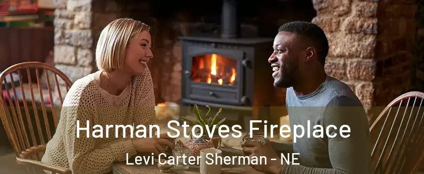 Harman Stoves Fireplace Levi Carter Sherman - NE