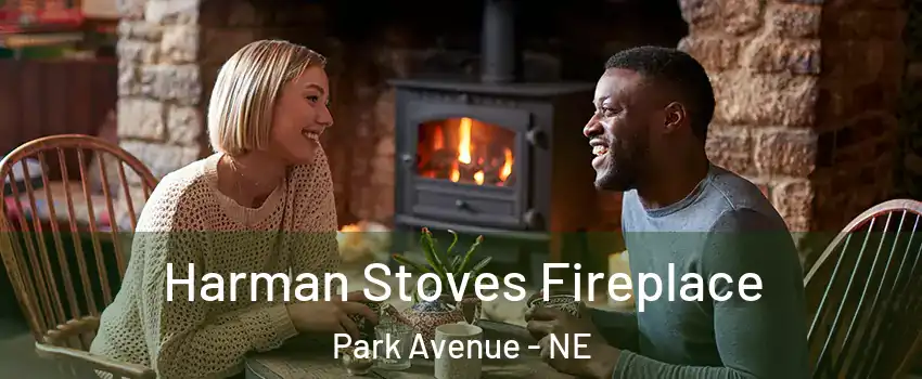 Harman Stoves Fireplace Park Avenue - NE