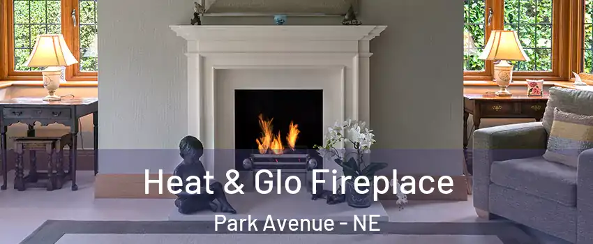 Heat & Glo Fireplace Park Avenue - NE
