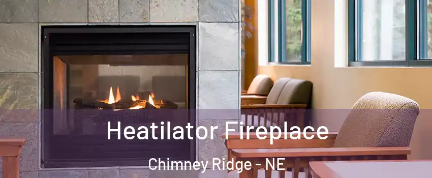 Heatilator Fireplace Chimney Ridge - NE